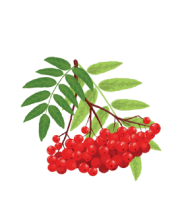 Дитячий садок Горобинка